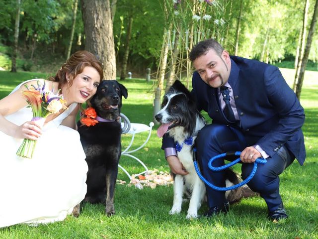 La boda de Sergi y Anna en Santa Coloma De Farners, Girona 6