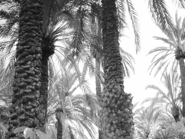 La boda de Borja y Laura en Orihuela, Alicante 49