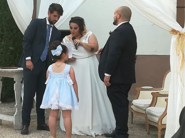 La boda de Alejandro y Laura en Chinchon, Madrid 4