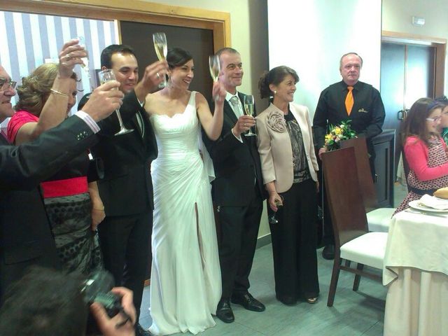 La boda de David y Ana  en Villanueva De La Serena, Badajoz 1