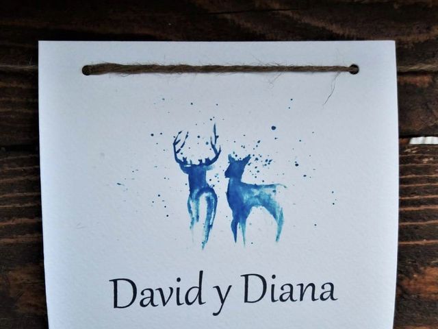 La boda de David y Diana en Sant Vicent Del Raspeig/san Vicente Del, Alicante 68