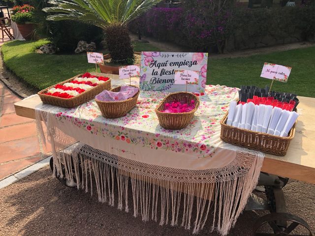 La boda de Alex y Elisabet en Premia De Dalt, Barcelona 16