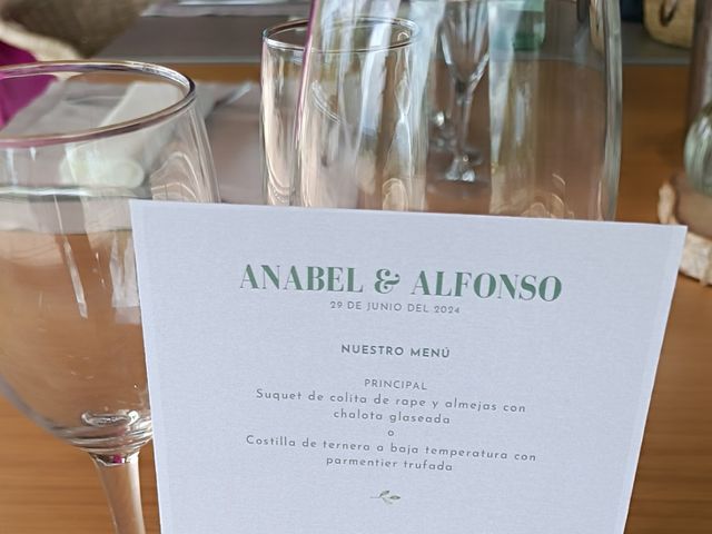La boda de Alfonso  y Anabel en Sabadell, Barcelona 5