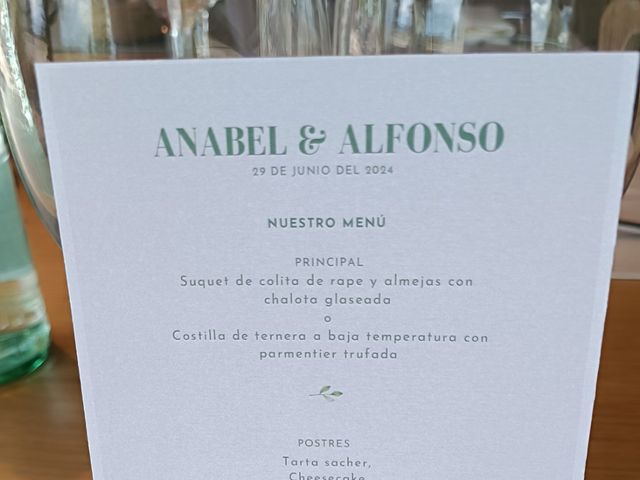 La boda de Alfonso  y Anabel en Sabadell, Barcelona 6