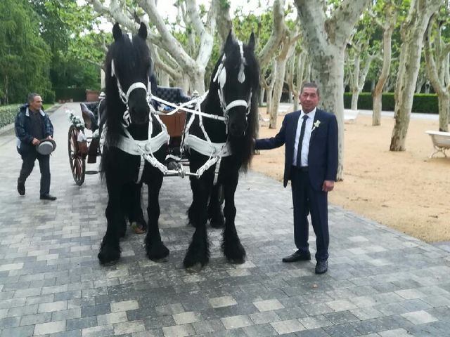 La boda de Diego  y Flori  en Santa Coloma De Farners, Girona 7