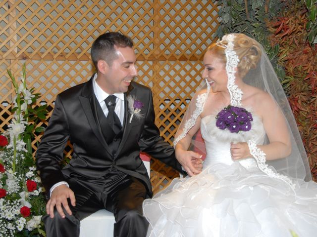 La boda de Jose  y Rebeca  en Vallirana, Barcelona 33