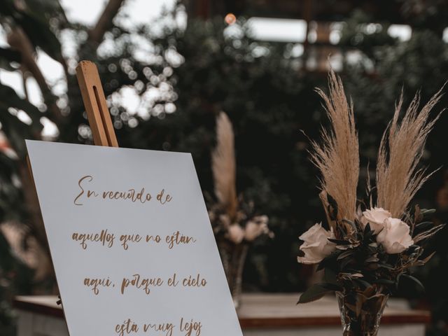 La boda de Haridian y Esteban en San Miguel De Abona, Santa Cruz de Tenerife 3