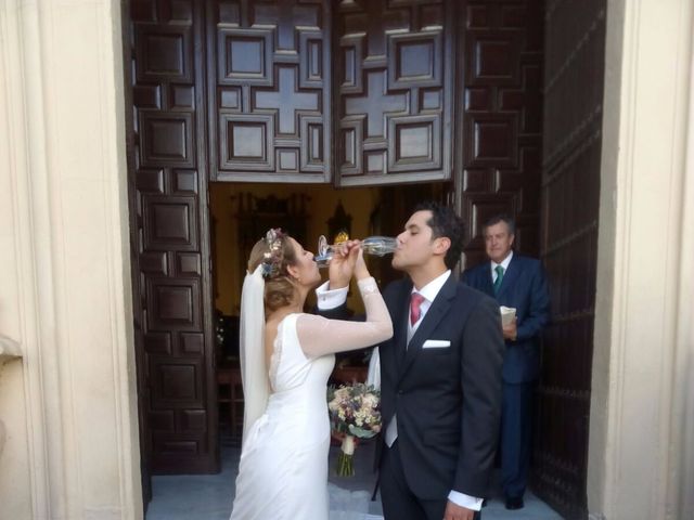 La boda de Luis y Sara en Córdoba, Córdoba 2