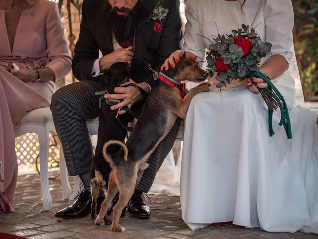 La boda de Luis Miguel y Cristina en Burujón, Toledo 26