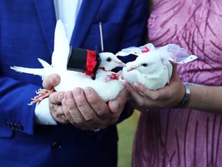 La boda de Miguel Ángel y María José 3