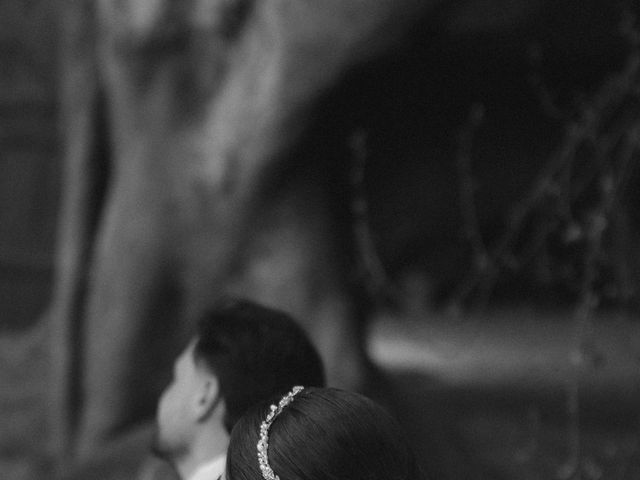 La boda de Alejandro y Palmira en Alacant/alicante, Alicante 38