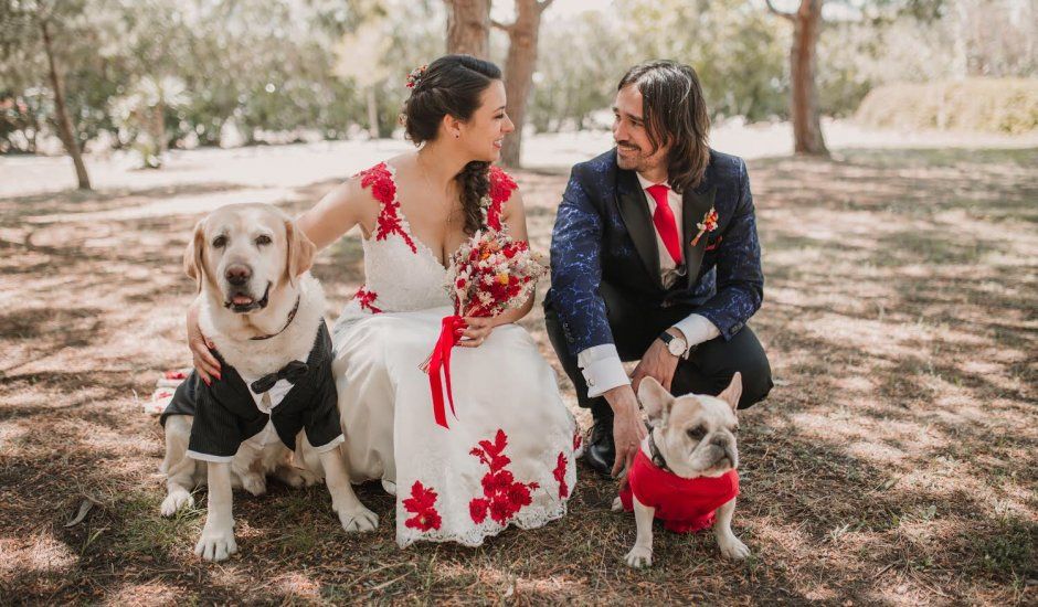 La boda de Jordi y Patricia en Riudoms, Tarragona