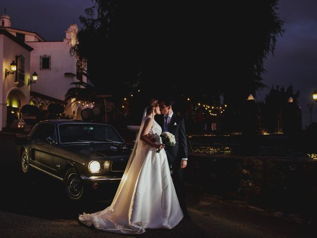 La boda de Eligio y Marta en Puebla De Sancho Perez, Badajoz 40