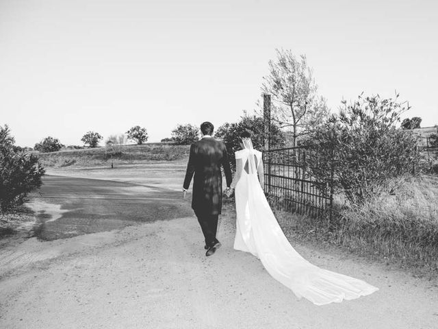 La boda de Pablo y Tamara  en Villagonzalo, Badajoz 41