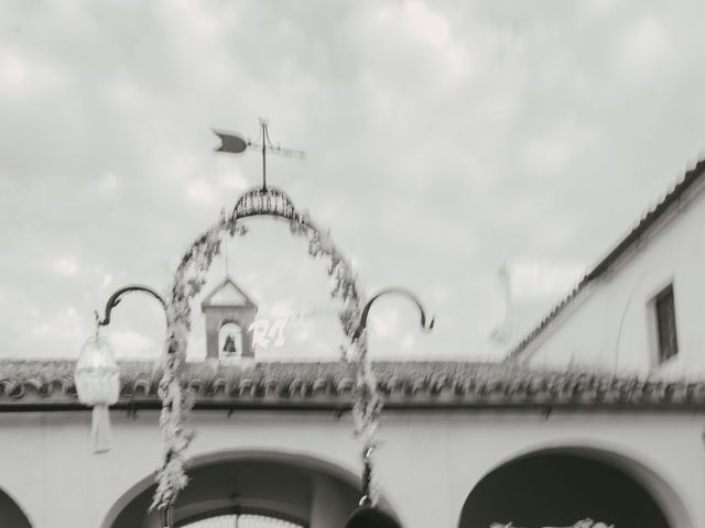 La boda de Rafael y Irina en Jerez De La Frontera, Cádiz 13