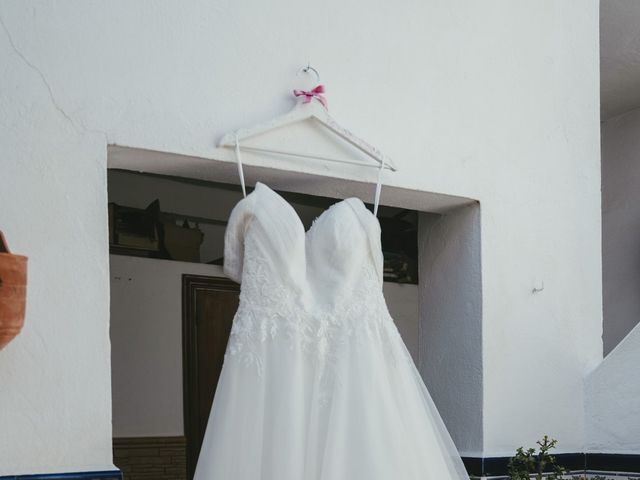 La boda de Rafael y Irina en Jerez De La Frontera, Cádiz 34