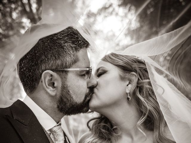La boda de Virginia y Julián en Andujar, Jaén 56