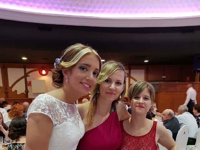 La boda de Andreu y Raquel en L' Alcúdia, Valencia 14