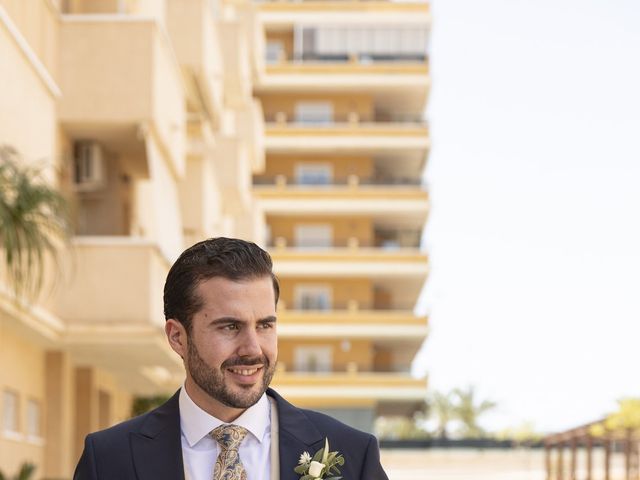 La boda de Manuel y Anaís en Elx/elche, Alicante 15