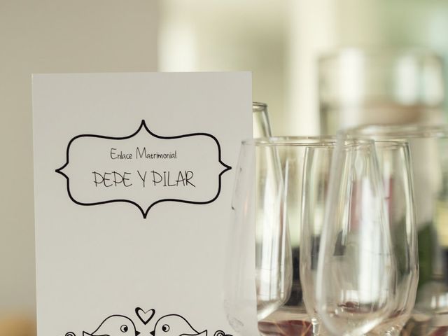 La boda de Pepe y Pilar en Guardamar Del Segura, Alicante 105