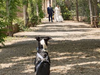 La boda de Dámaris y Fernando 3