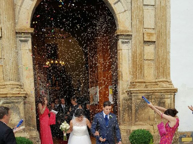 La boda de Gerard y Carolina  en Alcudia De Guadix, Granada 4