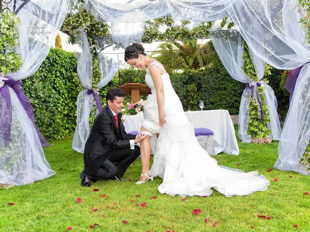 La boda de Pedro y Ana en Cubas De La Sagra, Madrid 17