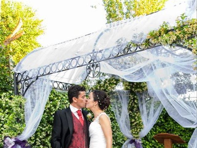 La boda de Pedro y Ana en Cubas De La Sagra, Madrid 18