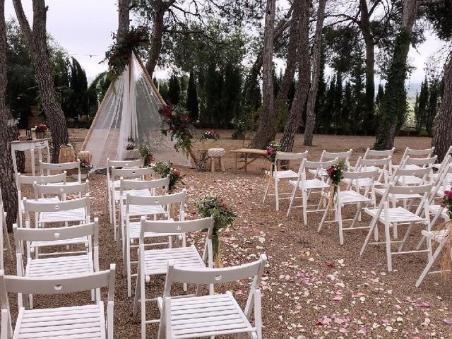 La boda de Santiago y Estefanía en L&apos; Olleria, Valencia 1