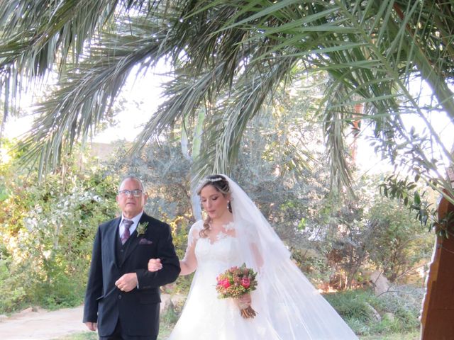 La boda de Carlos y Anabel  en Alacant/alicante, Alicante 9