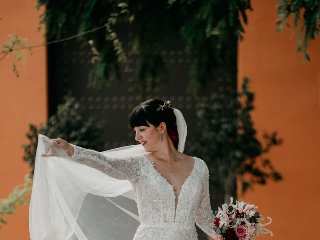 La boda de Carlos y María Luisa  en Alcala De Guadaira, Sevilla 5