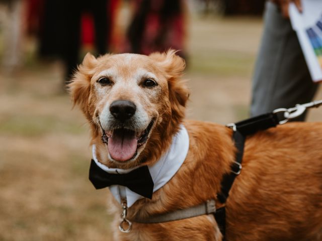 La boda de Borja y Álvaro en Gijón, Asturias 8