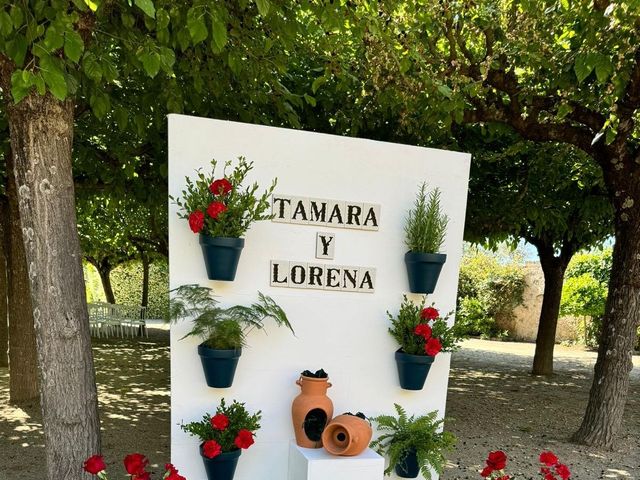 La boda de Lorena y Tamara en Cáceres, Cáceres 4