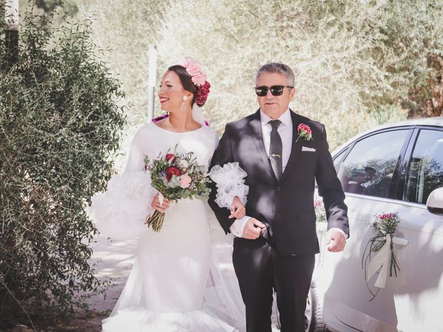 La boda de Sergio y Laura en Los Barrios, Cádiz 26