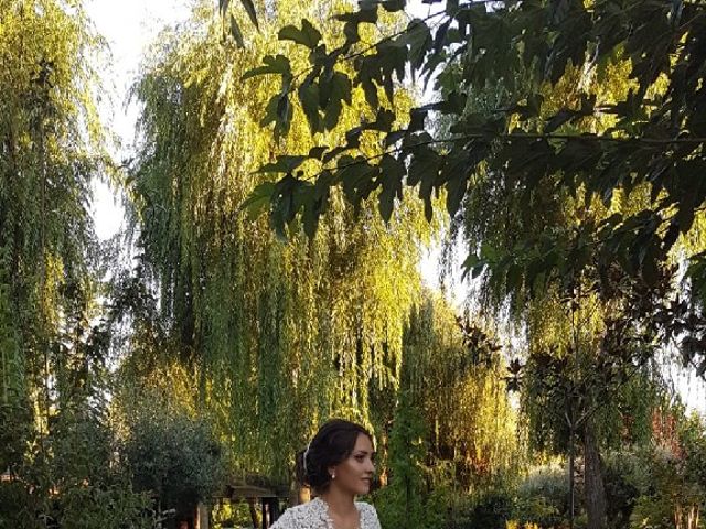 La boda de Daniel  y Victoria  en Aldea Del Fresno, Madrid 2