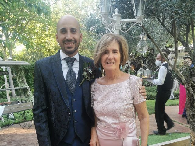 La boda de Daniel  y Victoria  en Aldea Del Fresno, Madrid 15