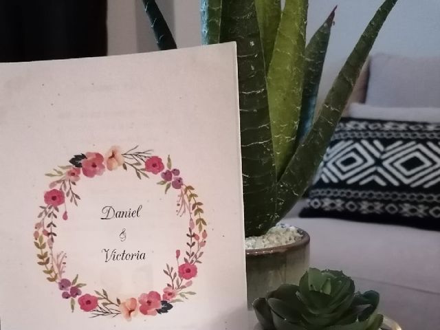 La boda de Daniel  y Victoria  en Aldea Del Fresno, Madrid 19