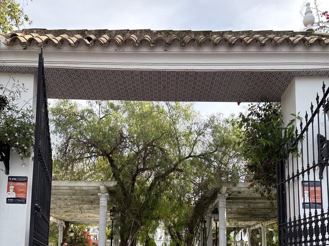 La boda de Bruno y Celia en Espartinas, Sevilla 5