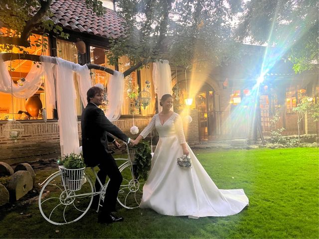 La boda de Raul  y Myriam  en Alalpardo, Madrid 15