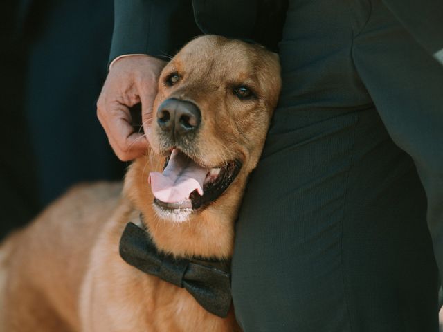 La boda de Óscar y Lidia en Arona, Santa Cruz de Tenerife 33