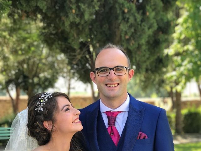 La boda de Mario y Sandra en Alba De Tormes, Salamanca 8