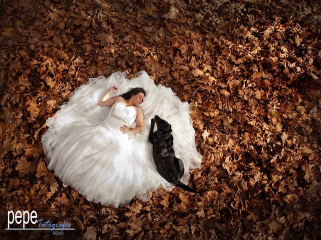 La boda de Javi y Laura en Navarrete, La Rioja 55
