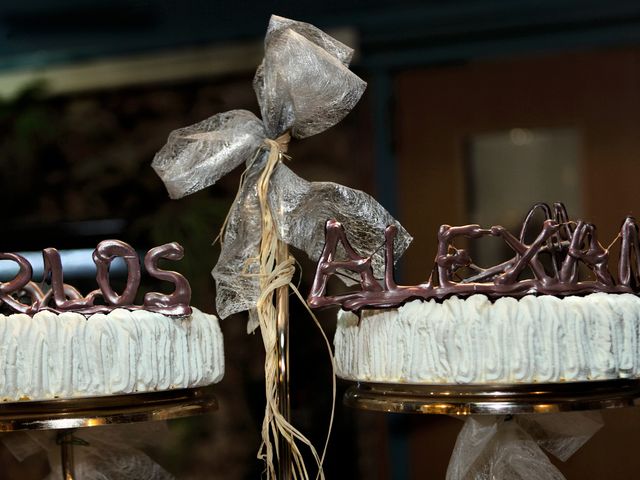 La boda de Carlos y Alexandra en Castelló/castellón De La Plana, Castellón 38
