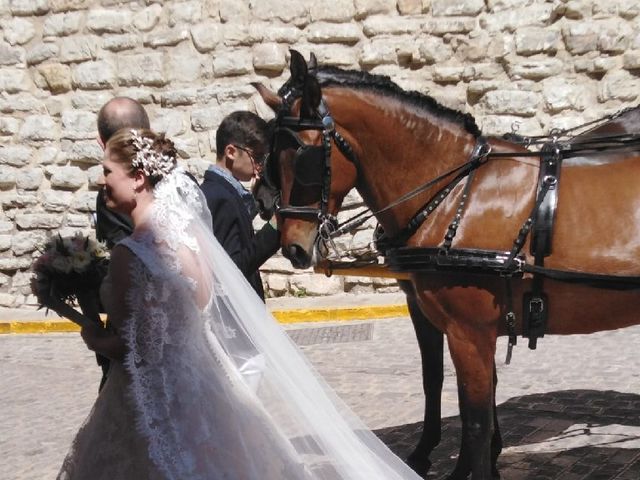 La boda de Juan Luis  y María de la Cabeza  en Torredonjimeno, Jaén 3