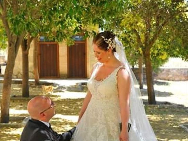 La boda de Juan Luis  y María de la Cabeza  en Torredonjimeno, Jaén 2