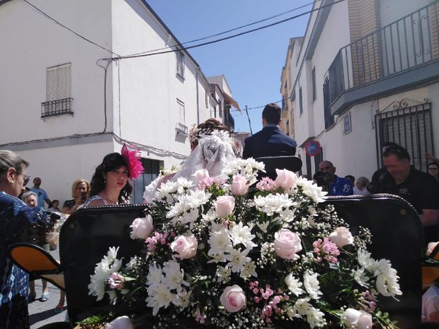 La boda de Juan Luis  y María de la Cabeza  en Torredonjimeno, Jaén 23