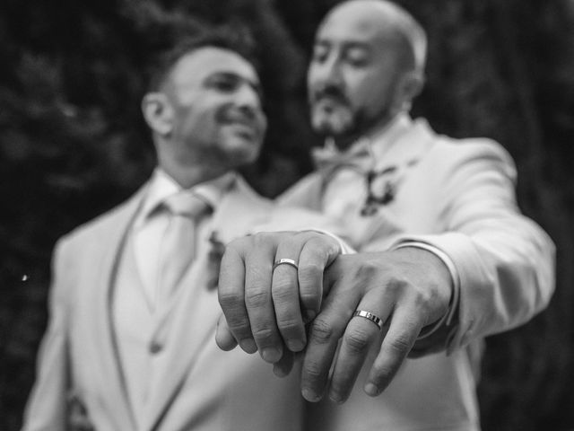 La boda de Javier y Jorge en Elx/elche, Alicante 13