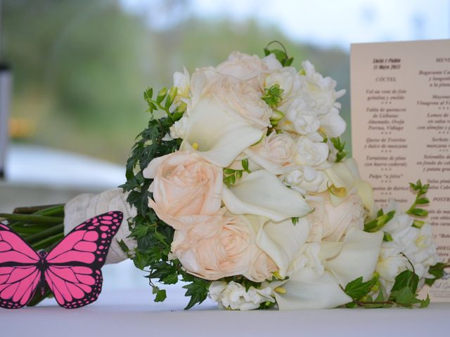 La boda de Lucía y Pablo en Castanedo, Cantabria 2