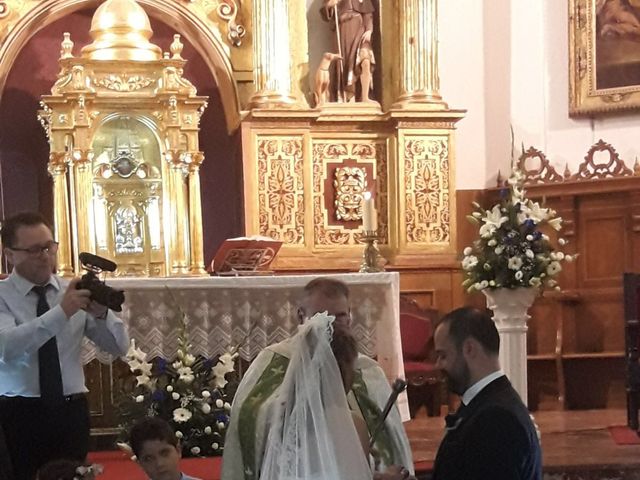 La boda de Vicente y Gema en Casarrubios Del Monte, Toledo 7