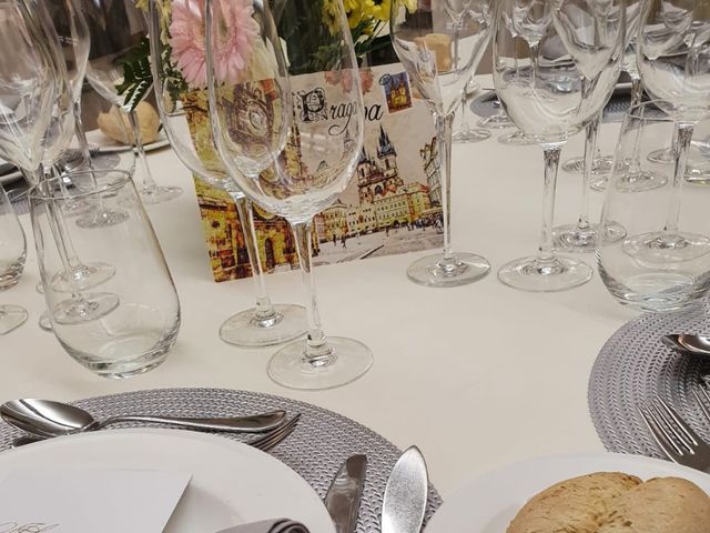 La boda de Idania  y Carlos  en Cáceres, Cáceres 5